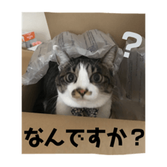 mizuki_20200819131058