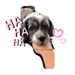 hana_20200819105120