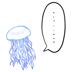 talking jellyfishes