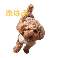 chisa_20200819153205