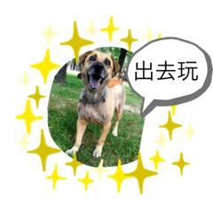 小黃日記～