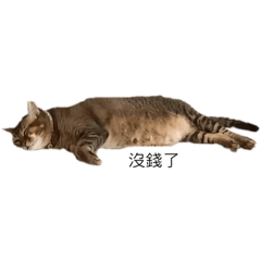 餒口：一張圖代表全世界