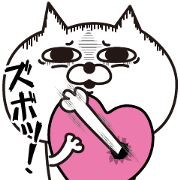 Cat laugh