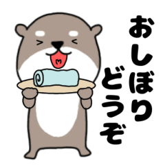 An otter that can be used everyday