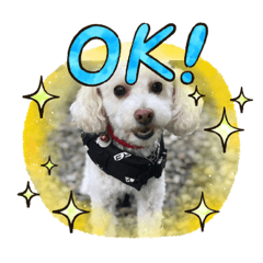 Kazumi_20200819171217