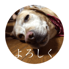 ayano_20200819183333