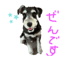 Ayumi_20200819191324