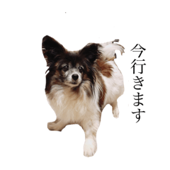 yamada_20200819204014