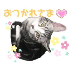 sayuri_20200819231757