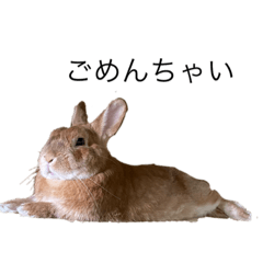 mokanonichijyo2