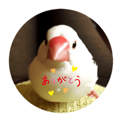 rina_20200819234557