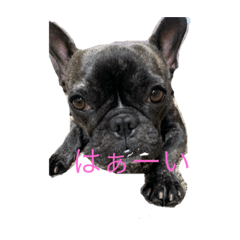 hana_20200820095903