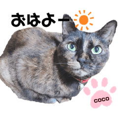 sayuri_20200820073605