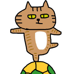 Futsal Football Soccer Cat.