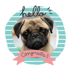 KAITO_20200820105030