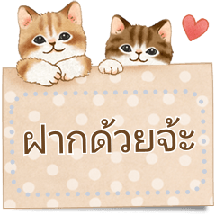 Cat sticker (Free message) Thai
