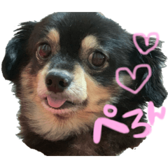 kanae_20200819192336