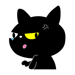Black cat KIKI 1