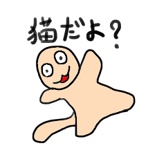 daily close to the cat cat