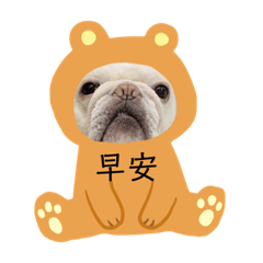 胖皮最乖了