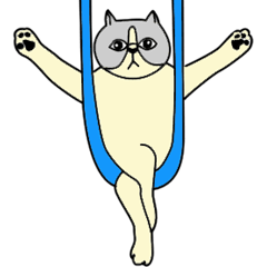 Aerial yogi cat 'AERU'