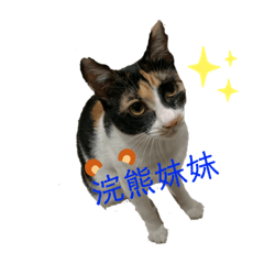 三寶貓2