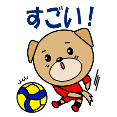 Volleyball dog Japanese