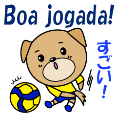 バレーボール犬　ポルトガル語と日本語