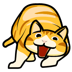 Orange-Cat-funny