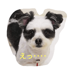 kayo_20200820131218