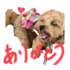 Alice_20200820153919