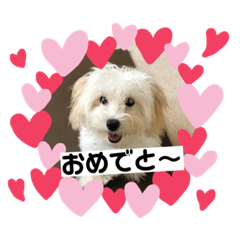 Miyabi_20200820161126