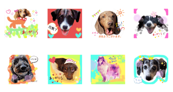 我が家の愛犬ファミリー Lineクリエイターズスタンプ Stamplist