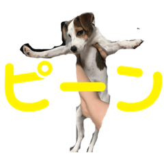 matsu_20200820174922