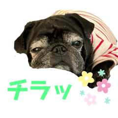 Asuka_20200821043737