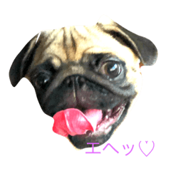 yukari_20200820185254