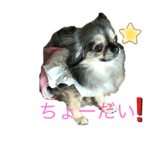 Sally_20200821010305