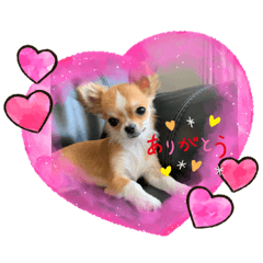 Sally_20200820233706