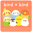 bird * bird
