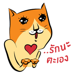 NaaDed-Orange cat