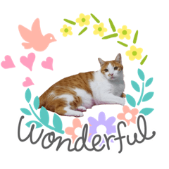 我是花花～