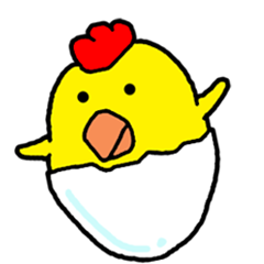 Video? Chicken Piyoko