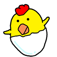 Video? Chicken Piyoko