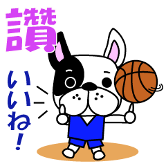 台湾のバスケ犬