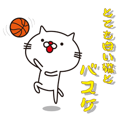 Very white cat and basketball