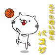 とても白い猫とバスケットボール