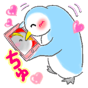 Sweet Penguin -I like you-