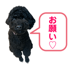 vivi_20200821153759