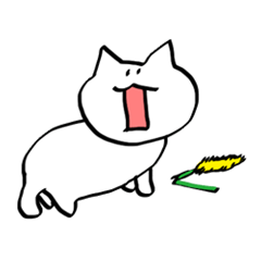 Mochi white cat and companion