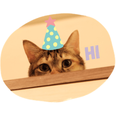 動物星球(˶‾᷄ ⁻̫ ‾᷅˵)